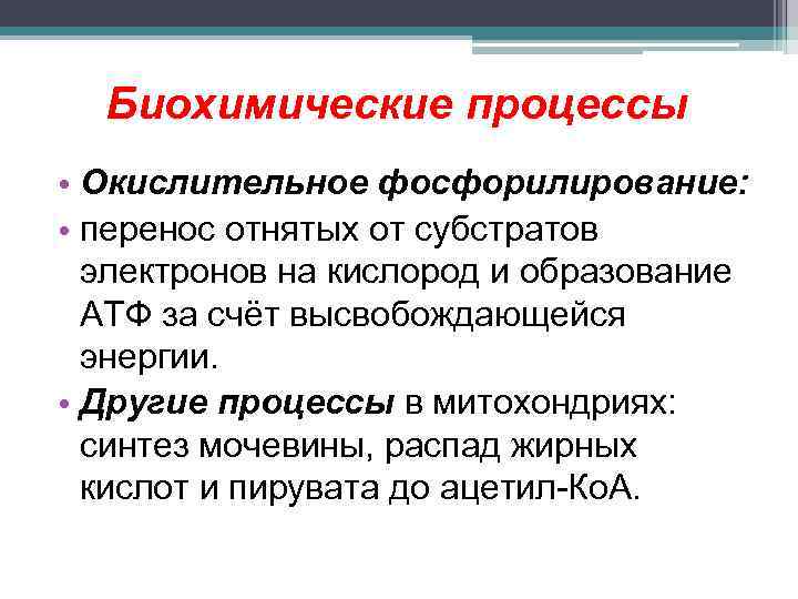 Биохимические процессы • Окислительное фосфорилирование: • перенос отнятых от субстратов электронов на кислород и