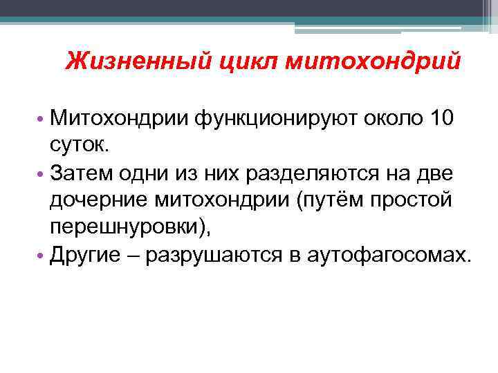 Жизненный цикл митохондрий • Митохондрии функционируют около 10 суток. • Затем одни из них