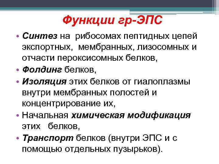 Функции гр-ЭПС • Синтез на рибосомах пептидных цепей экспортных, мембранных, лизосомных и отчасти пероксисомных