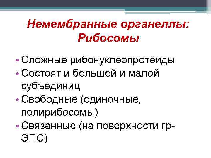 Немембранные органеллы: Рибосомы • Сложные рибонуклеопротеиды • Состоят и большой и малой субъединиц •