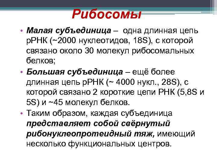 Рибосомы • Малая субъединица – одна длинная цепь р. РНК (~2000 нуклеотидов, 18 S),