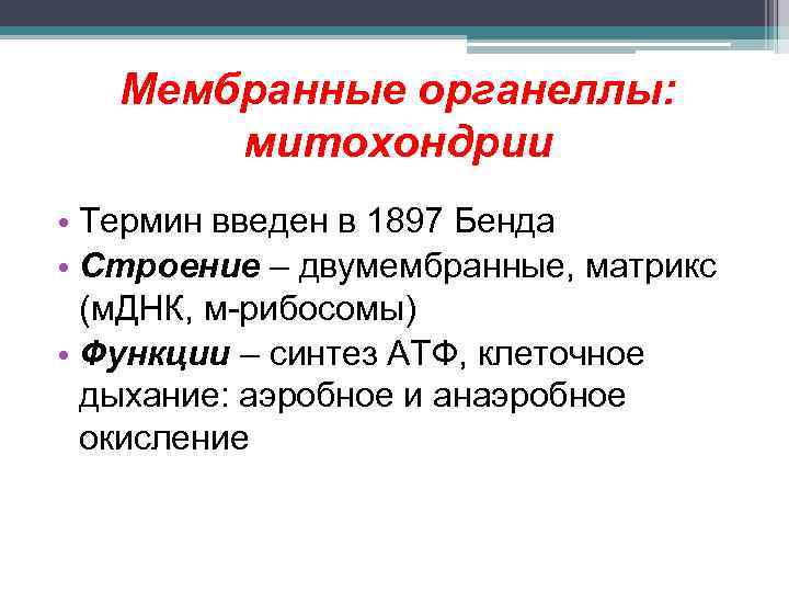 Мембранные органеллы: митохондрии • Термин введен в 1897 Бенда • Строение – двумембранные, матрикс