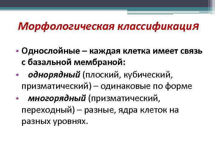 Морфологическая классификация • Однослойные – каждая клетка имеет связь с базальной мембраной: • однорядный