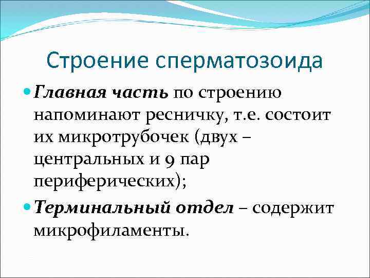 Строение сперматозоида Главная часть по строению напоминают ресничку, т. е. состоит их микротрубочек (двух