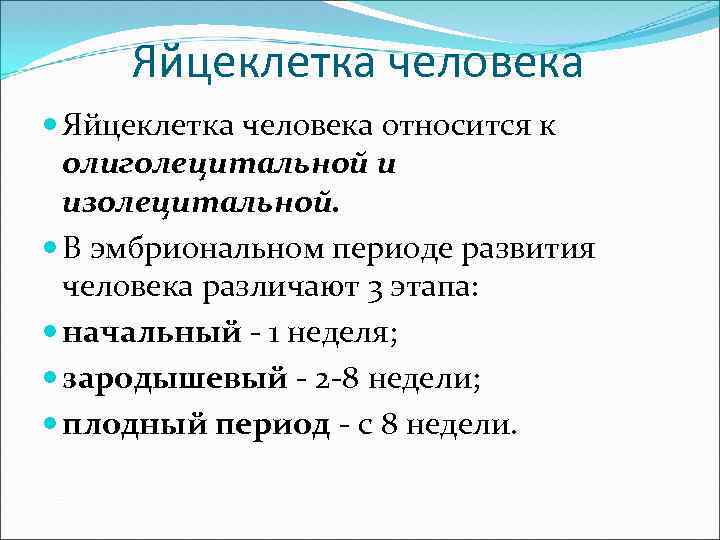 Яйцеклетка человека относится к олиголецитальной и изолецитальной. В эмбриональном периоде развития человека различают 3