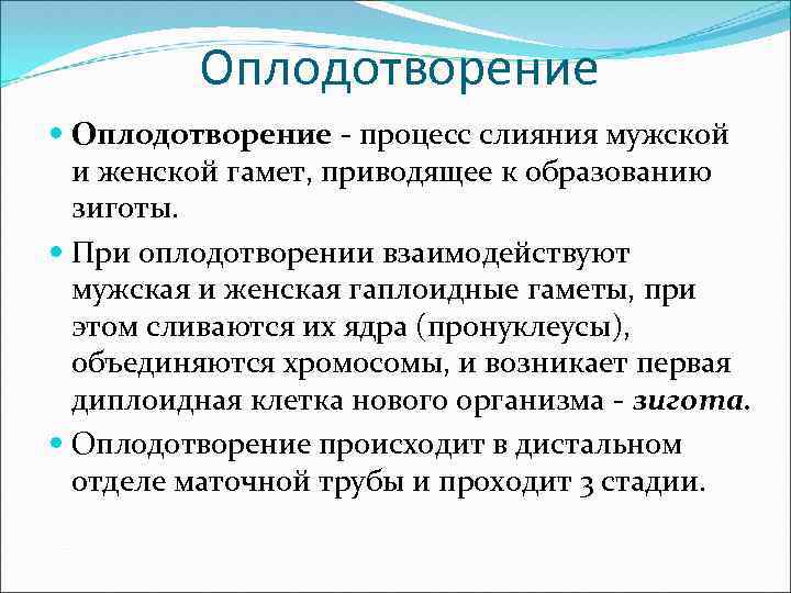 Оплодотворение - процесс слияния мужской и женской гамет, приводящее к образованию зиготы. При оплодотворении