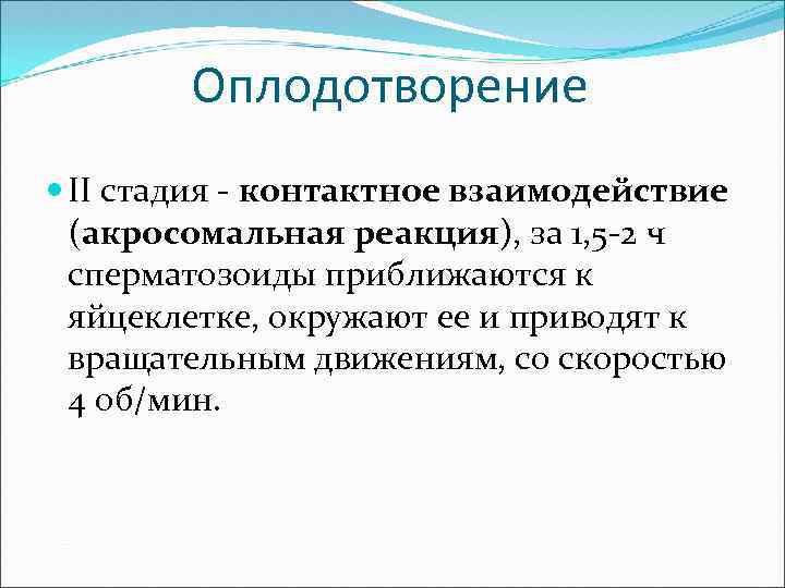 Оплодотворение II стадия - контактное взаимодействие (акросомальная реакция), за 1, 5 -2 ч сперматозоиды