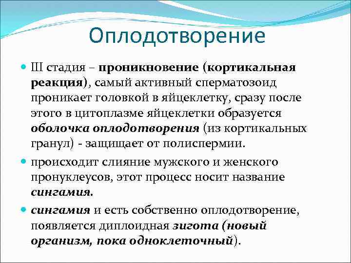 Оплодотворение III стадия – проникновение (кортикальная реакция), самый активный сперматозоид проникает головкой в яйцеклетку,