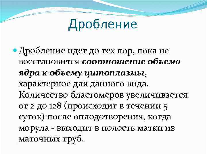 Дробление идет до тех пор, пока не восстановится соотношение объема ядра к объему цитоплазмы,