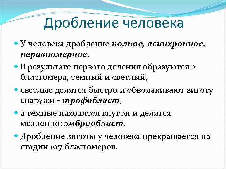 Дроблением называют. Полное неравномерное асинхронное дробление характерно для. Полное неравномерное синхронное дробление. Дробление зиготы человека полное неравномерное асинхронное. Дробление у человека полное неравномерное асинхронное.