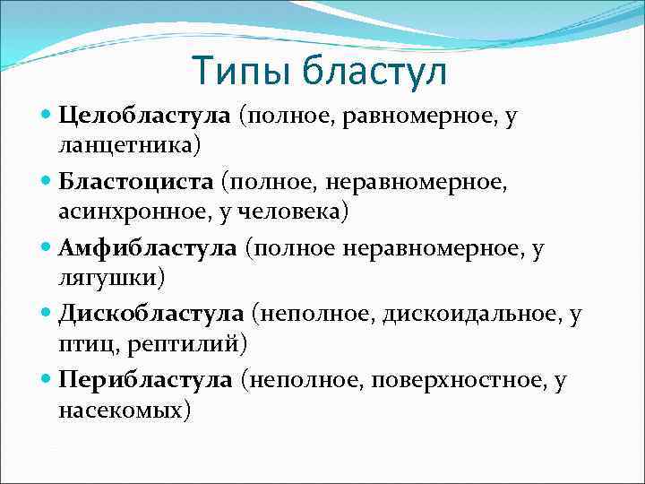 Типы бластул Целобластула (полное, равномерное, у ланцетника) Бластоциста (полное, неравномерное, асинхронное, у человека) Амфибластула