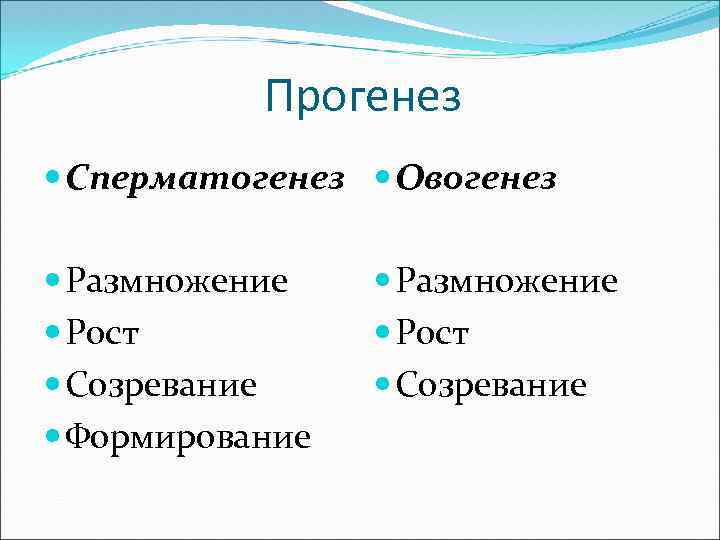 Прогенез Сперматогенез Овогенез Размножение Рост Созревание Формирование Размножение Рост Созревание 