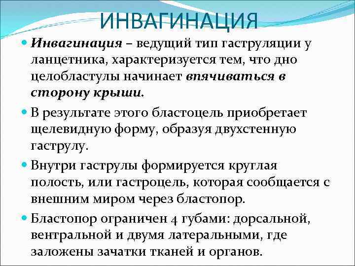 ИНВАГИНАЦИЯ Инвагинация – ведущий тип гаструляции у ланцетника, характеризуется тем, что дно целобластулы начинает