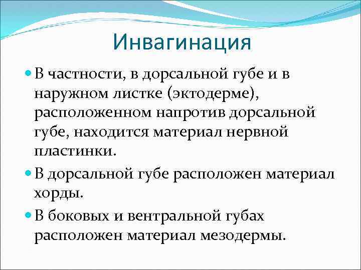 Инвагинация В частности, в дорсальной губе и в наружном листке (эктодерме), расположенном напротив дорсальной