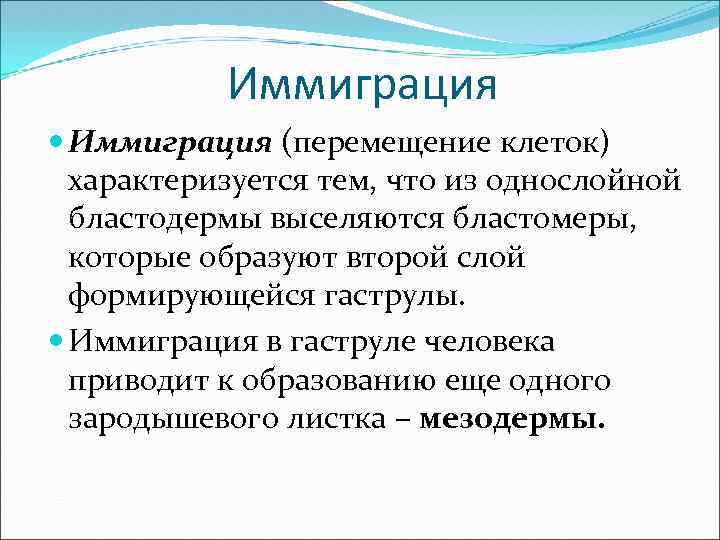 Иммиграция (перемещение клеток) характеризуется тем, что из однослойной бластодермы выселяются бластомеры, которые образуют второй