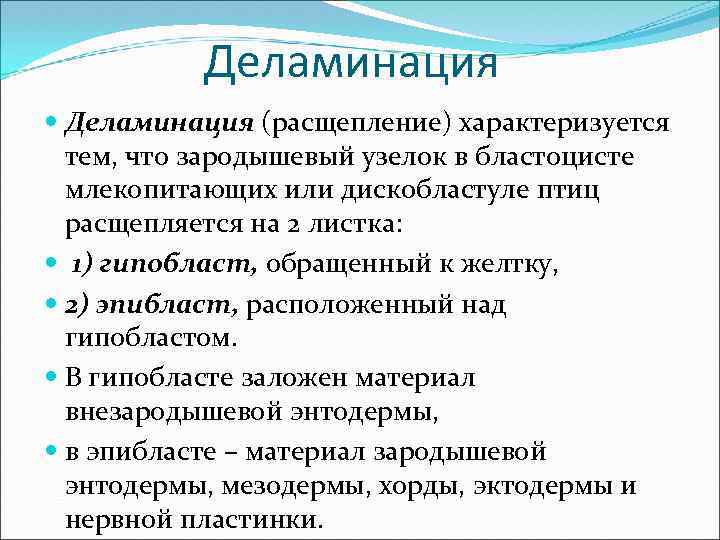 Деламинация (расщепление) характеризуется тем, что зародышевый узелок в бластоцисте млекопитающих или дискобластуле птиц расщепляется