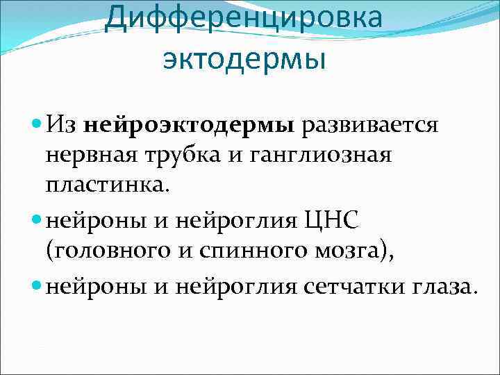 Дифференцировка эктодермы Из нейроэктодермы развивается нервная трубка и ганглиозная пластинка. нейроны и нейроглия ЦНС