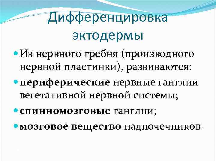 Дифференцировка эктодермы Из нервного гребня (производного нервной пластинки), развиваются: периферические нервные ганглии вегетативной нервной