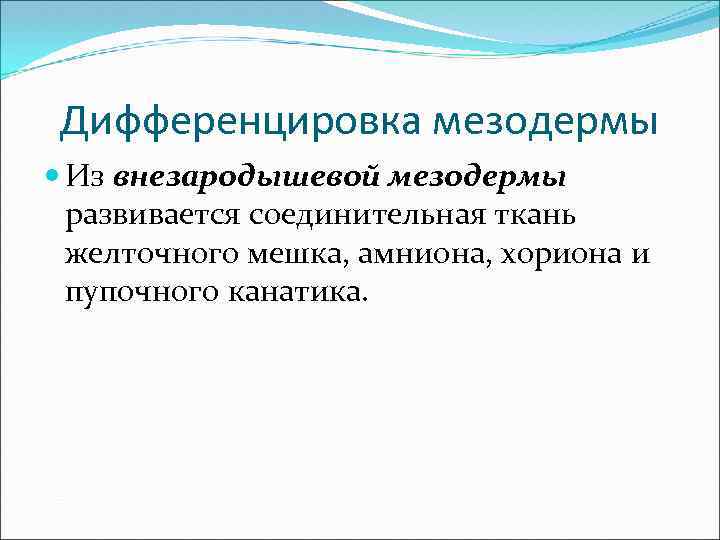 Дифференцировка мезодермы Из внезародышевой мезодермы развивается соединительная ткань желточного мешка, амниона, хориона и пупочного