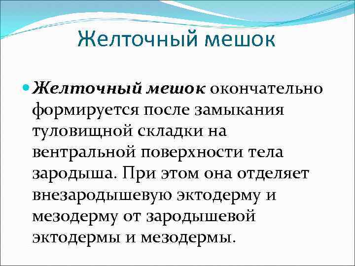 Желточный мешок окончательно формируется после замыкания туловищной складки на вентральной поверхности тела зародыша. При