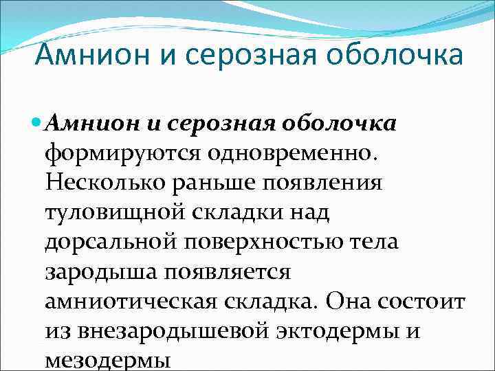 Амнион и серозная оболочка формируются одновременно. Несколько раньше появления туловищной складки над дорсальной поверхностью