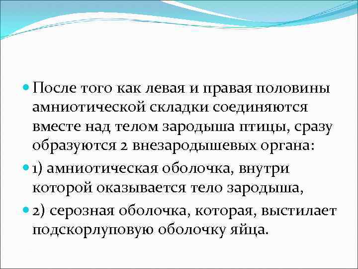  После того как левая и правая половины амниотической складки соединяются вместе над телом