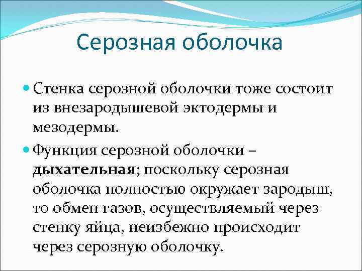 Серозная оболочка Стенка серозной оболочки тоже состоит из внезародышевой эктодермы и мезодермы. Функция серозной