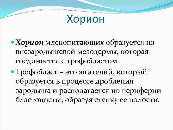 Хорион млекопитающих образуется из внезародышевой мезодермы, которая соединяется с трофобластом. Трофобласт – это эпителий,