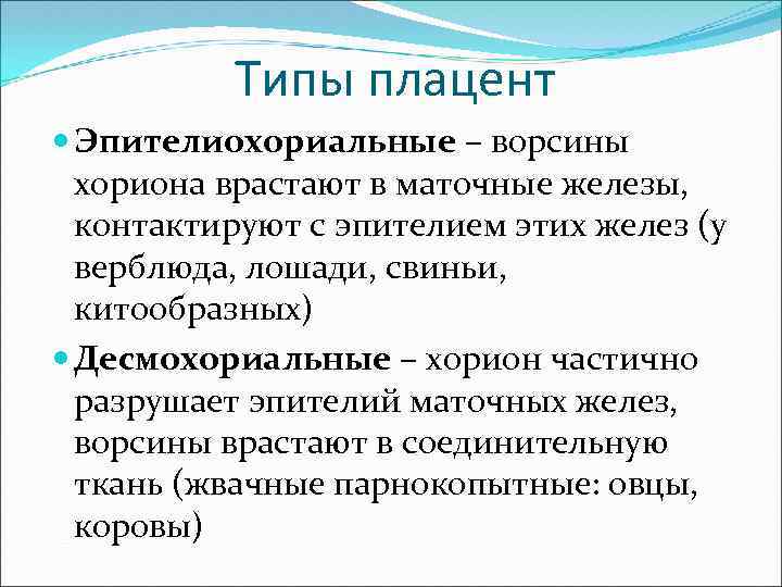 Типы плацент Эпителиохориальные – ворсины хориона врастают в маточные железы, контактируют с эпителием этих