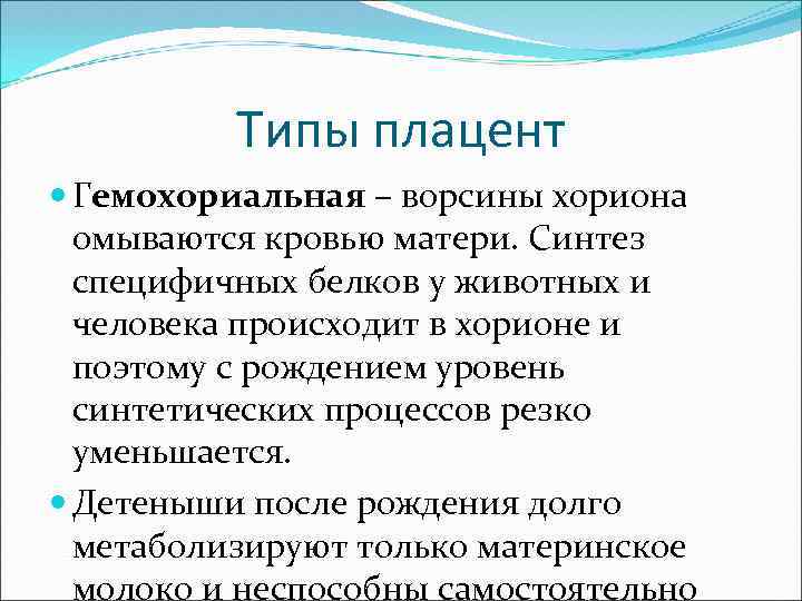 Типы плацент презентация