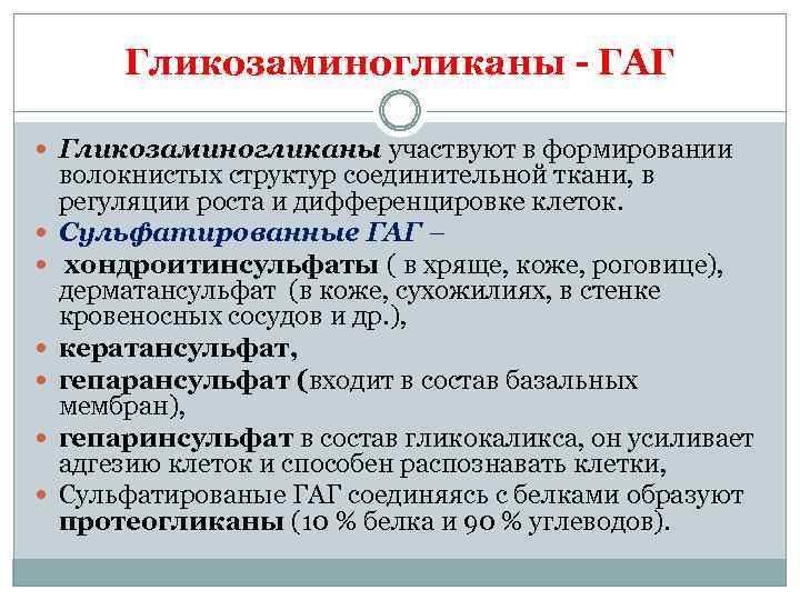 Морфофункциональная характеристика и классификация соединительной ткани