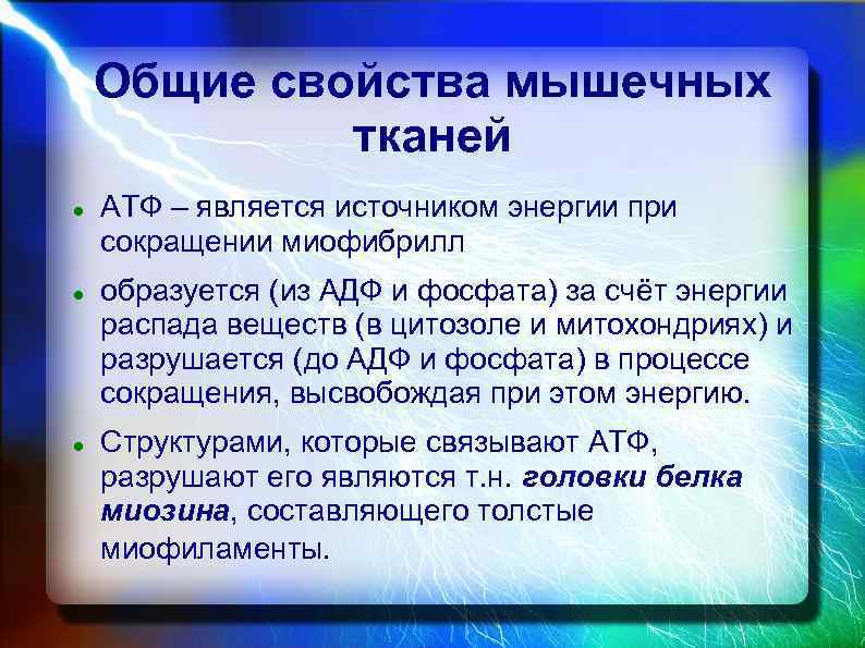 Общие свойства мышечных тканей АТФ – является источником энергии при сокращении миофибрилл образуется (из