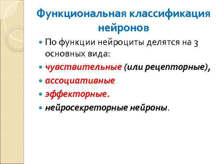 Функциональная классификация нейронов По функции нейроциты делятся на 3 основных вида: чувствительные (или рецепторные),