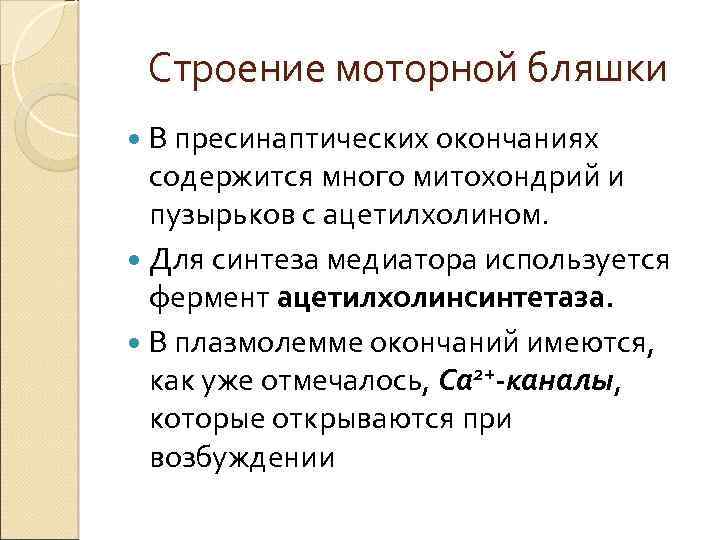 Строение моторной бляшки В пресинаптических окончаниях содержится много митохондрий и пузырьков с ацетилхолином. Для