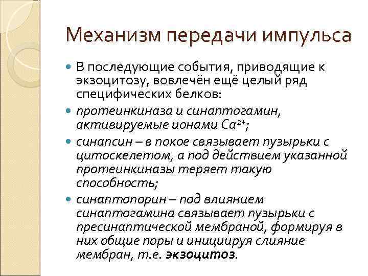 Механизм передачи импульса В последующие события, приводящие к экзоцитозу, вовлечён ещё целый ряд специфических