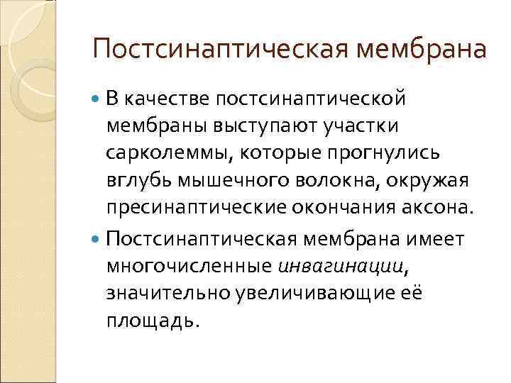 Постсинаптическая мембрана В качестве постсинаптической мембраны выступают участки сарколеммы, которые прогнулись вглубь мышечного волокна,