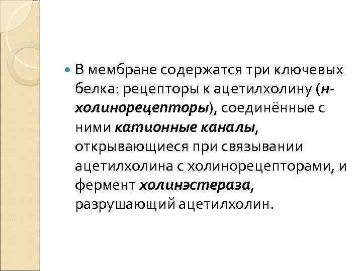  В мембране содержатся три ключевых белка: рецепторы к ацетилхолину (нхолинорецепторы), соединённые с ними