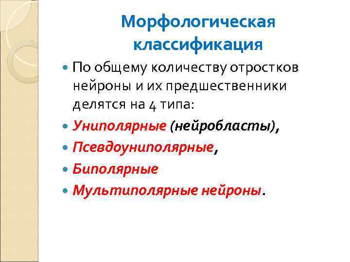 Морфологическая классификация По общему количеству отростков нейроны и их предшественники делятся на 4 типа: