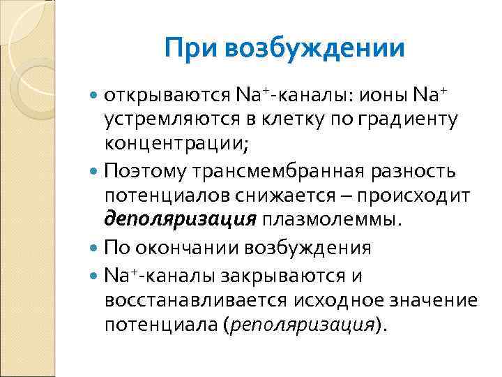 При возбуждении открываются Na+-каналы: ионы Na+ устремляются в клетку по градиенту концентрации; Поэтому трансмембранная