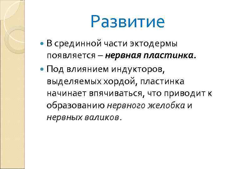 Развитие В срединной части эктодермы появляется – нервная пластинка. Под влиянием индукторов, выделяемых хордой,