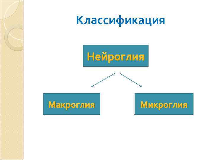 Классификация Нейроглия Макроглия Микроглия 