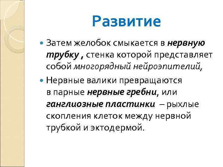 Развитие Затем желобок смыкается в нервную трубку , стенка которой представляет собой многорядный нейроэпителий,