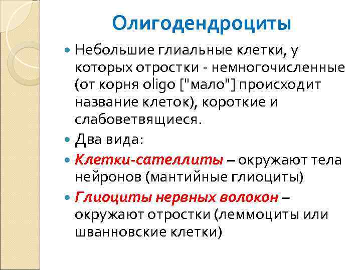 Олигодендроциты Небольшие глиальные клетки, у которых отростки - немногочисленные (от корня oligo ["мало"] происходит