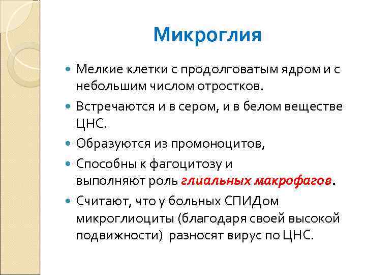 Микроглия Мелкие клетки с продолговатым ядром и с небольшим числом отростков. Встречаются и в