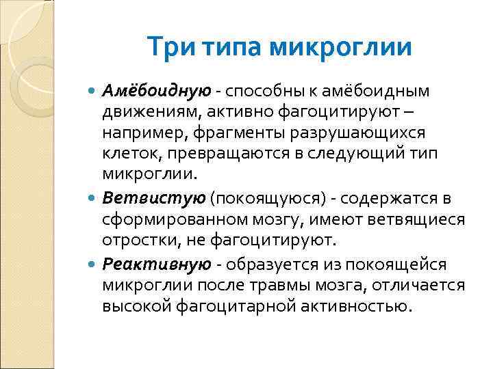 Три типа микроглии Амёбоидную - способны к амёбоидным движениям, активно фагоцитируют – например, фрагменты