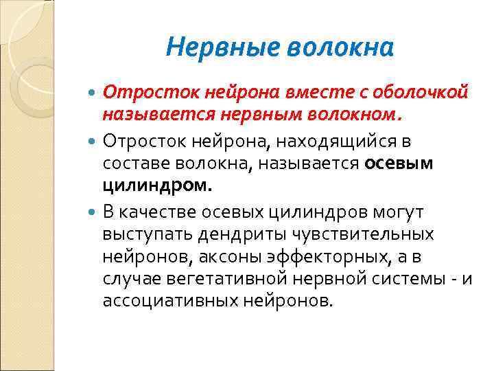 Нервные волокна Отросток нейрона вместе с оболочкой называется нервным волокном. Отросток нейрона, находящийся в