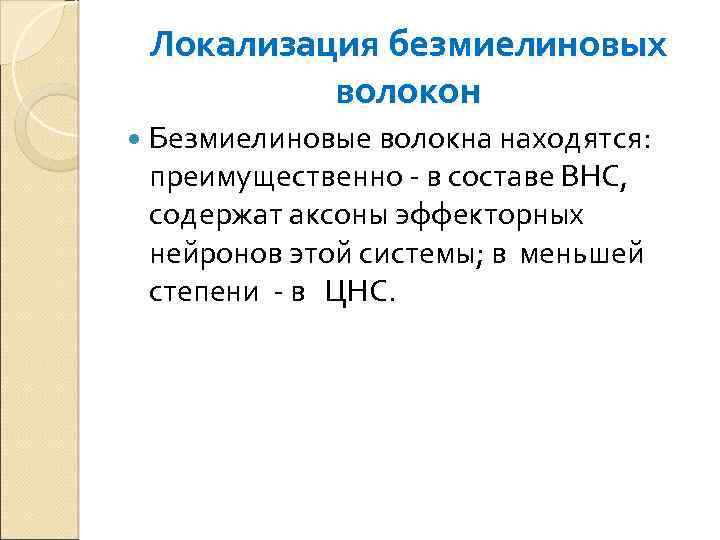 Локализация безмиелиновых волокон Безмиелиновые волокна находятся: преимущественно - в составе ВНС, содержат аксоны эффекторных