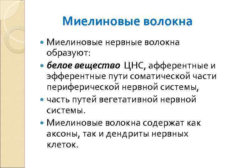 Миелиновые волокна Миелиновые нервные волокна образуют: белое вещество ЦНС, афферентные и эфферентные пути соматической