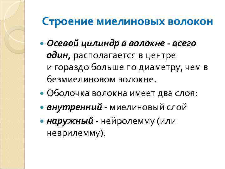 Строение миелиновых волокон Осевой цилиндр в волокне - всего один, располагается в центре и