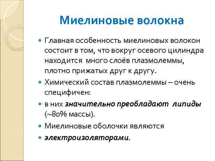 Миелиновые волокна Главная особенность миелиновых волокон состоит в том, что вокруг осевого цилиндра находится